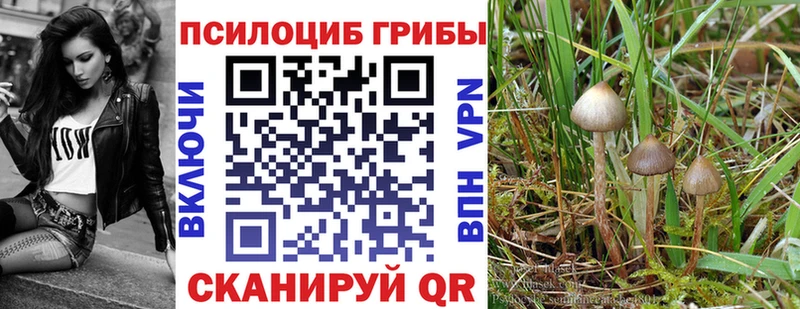 Галлюциногенные грибы MAGIC MUSHROOMS Ливны